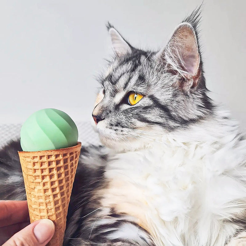 Ice Cream Ball