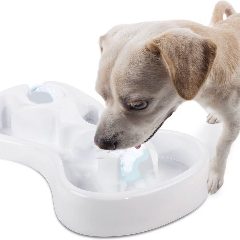 Chill Out - Doy Bowl - Cooling Feast Dog Bowl