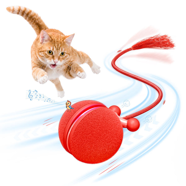 Wicked Ball Mini Tail