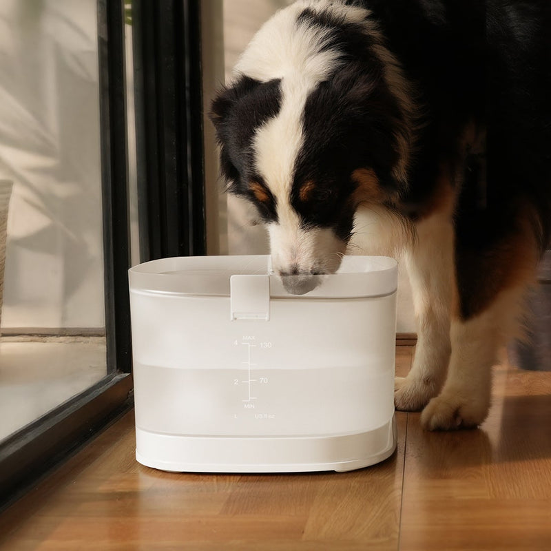Pet Fountain Elfin D1 Pro Bundle