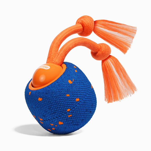 Wicked Ball Rolly