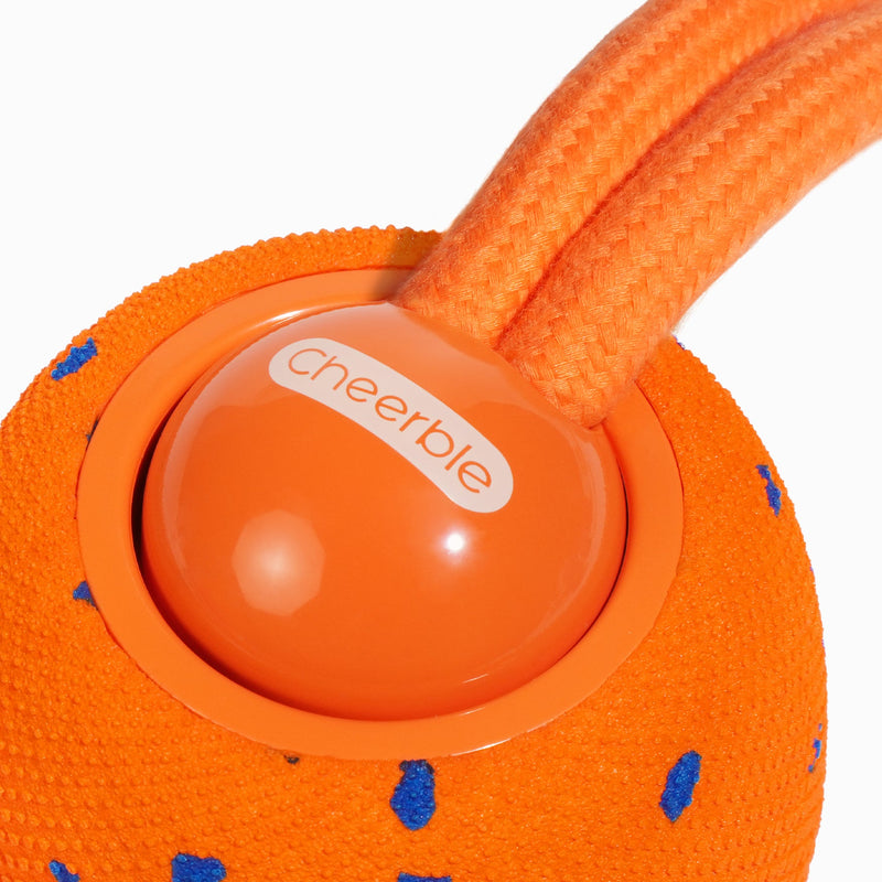 Wicked Ball Rolly