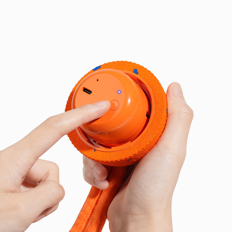 Wicked Ball Rolly