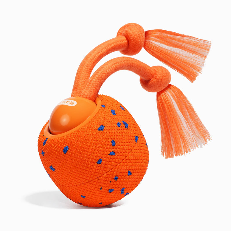 Wicked Ball Rolly