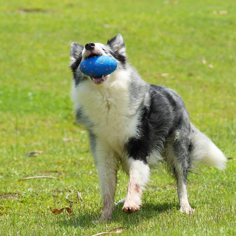 Wicked Rugby