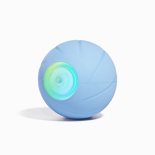 Wicked Ball SE