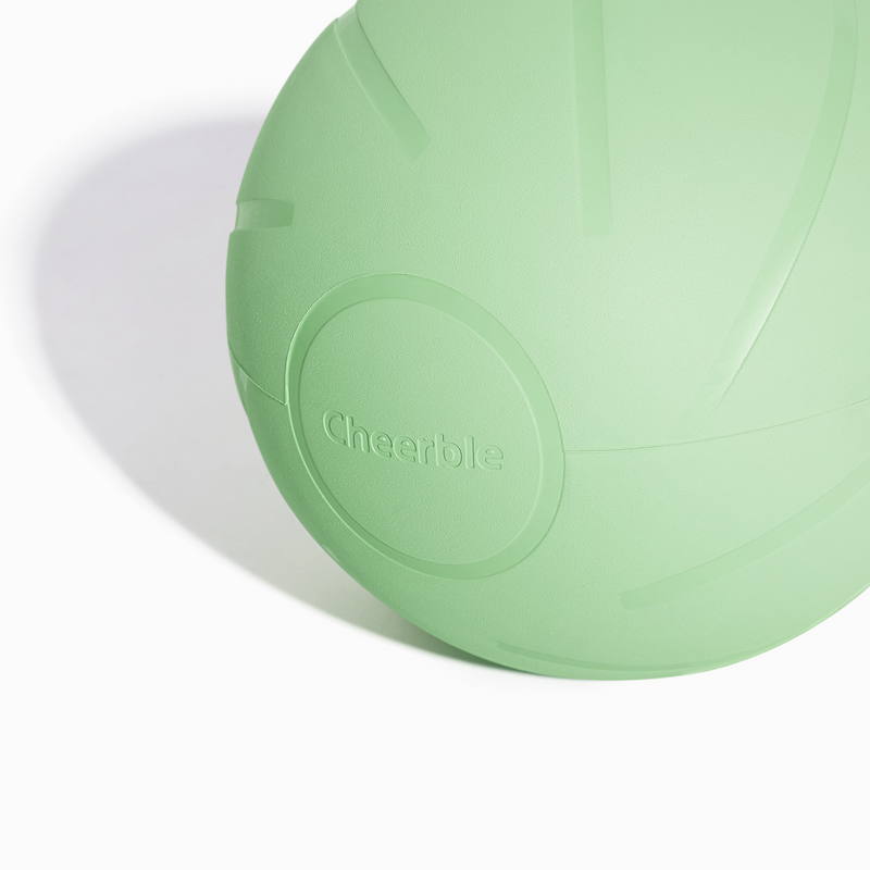 Wicked Ball PE