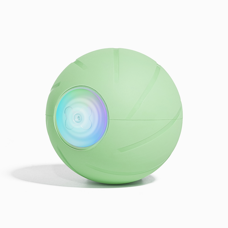 Wicked Ball PE