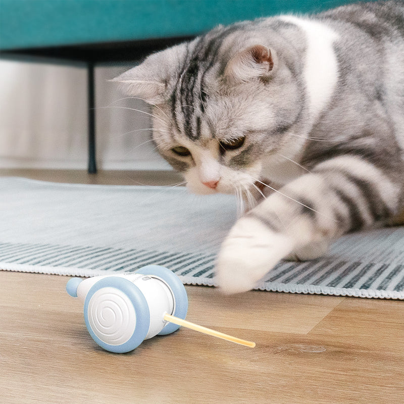Wicked Mouse PLUS