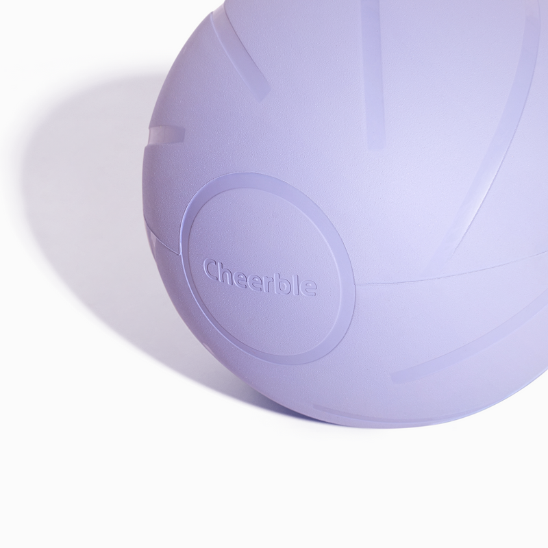Wicked Ball PE