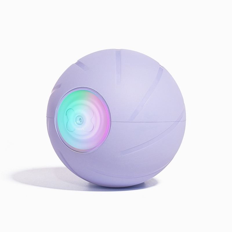 Wicked Ball PE