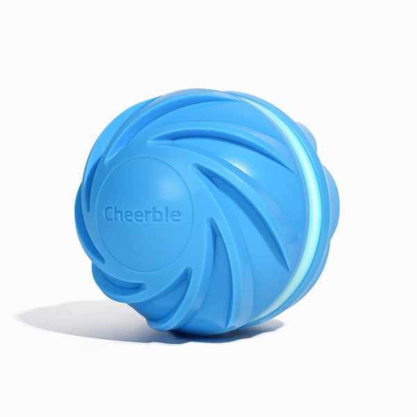 Wicked Ball