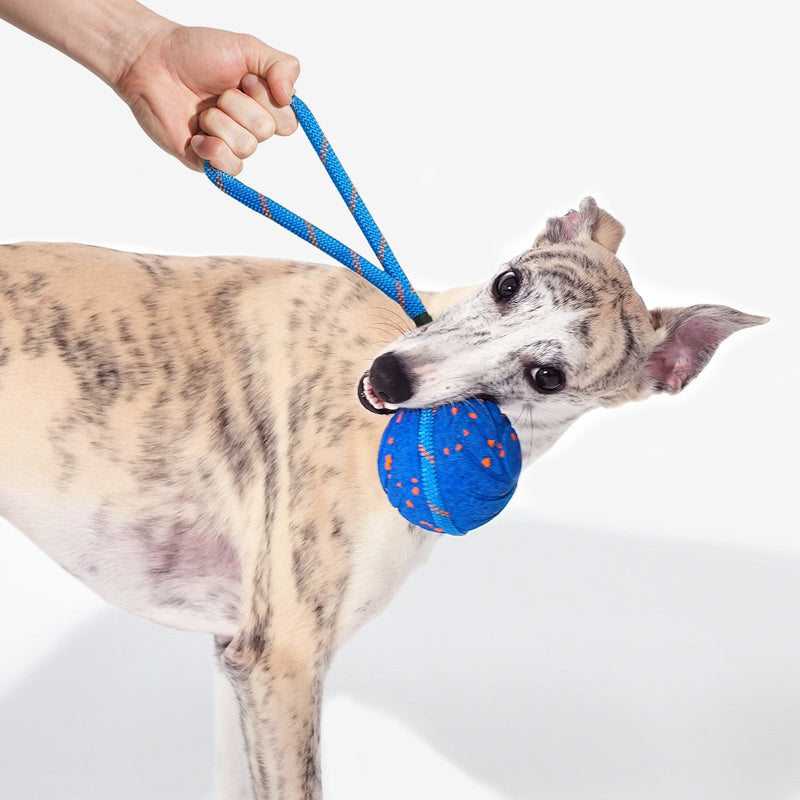 Wicked Ball Air Rope Replacement Set