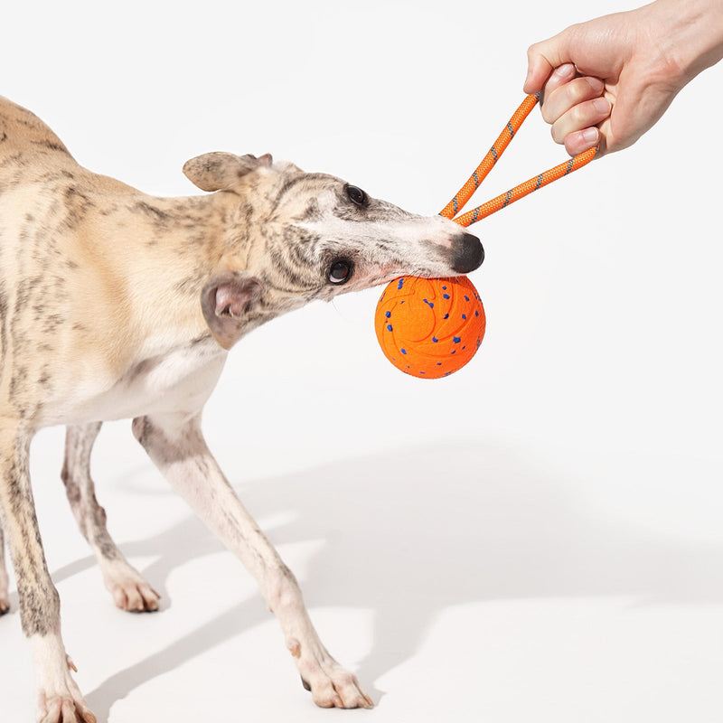 Wicked Ball Air Rope Replacement Set