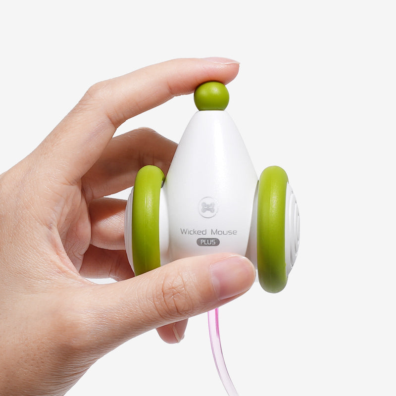 Wicked Mouse PLUS