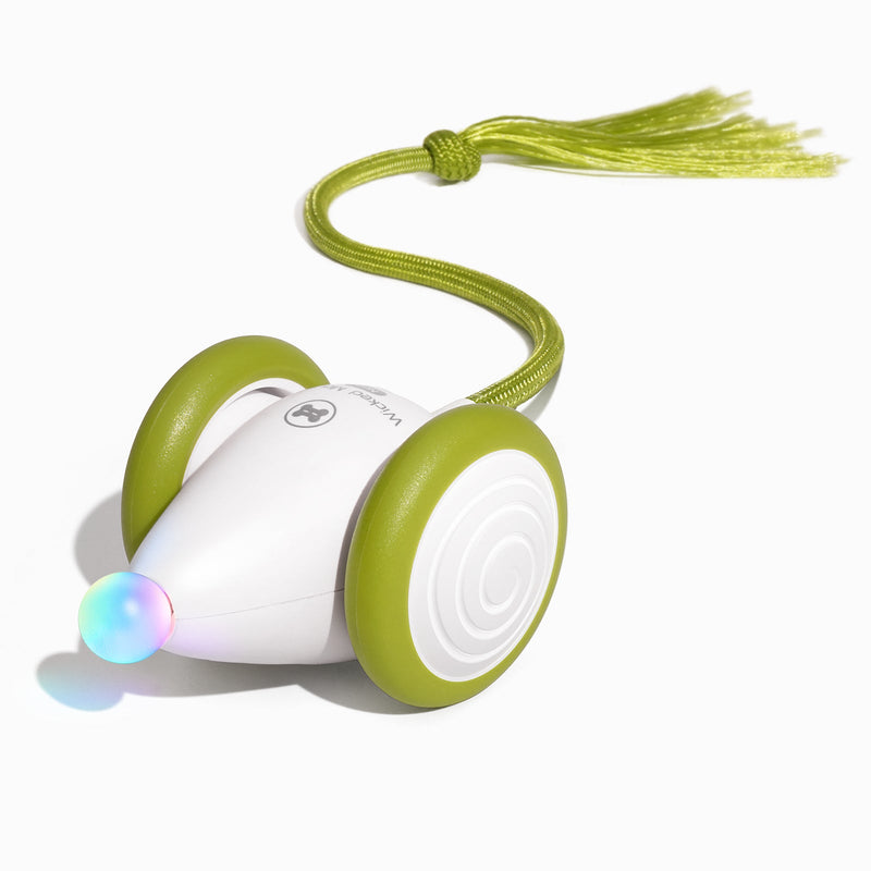 Wicked Mouse Neo