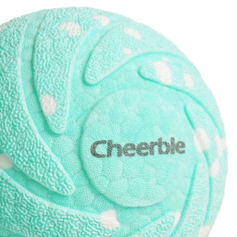 Wicked Ball Air Shell