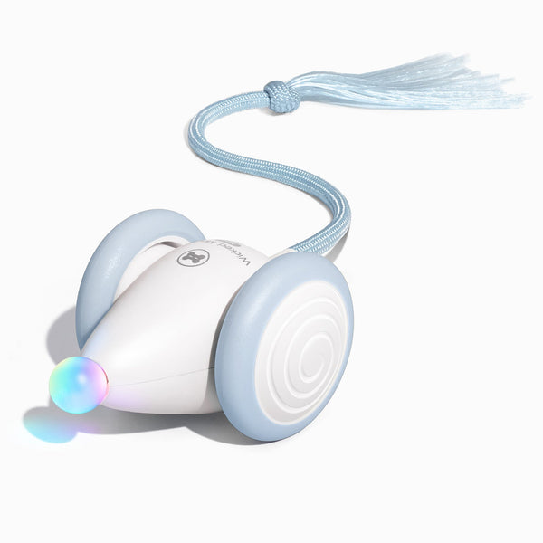 Wicked Mouse Neo