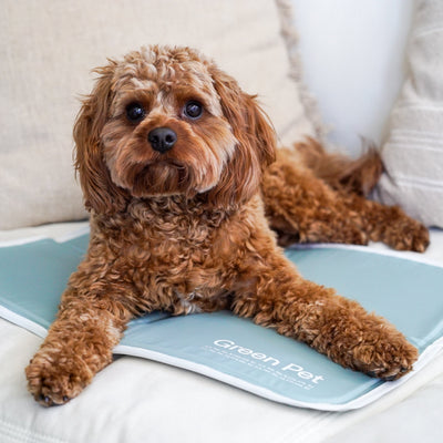Pet Cooling Mat